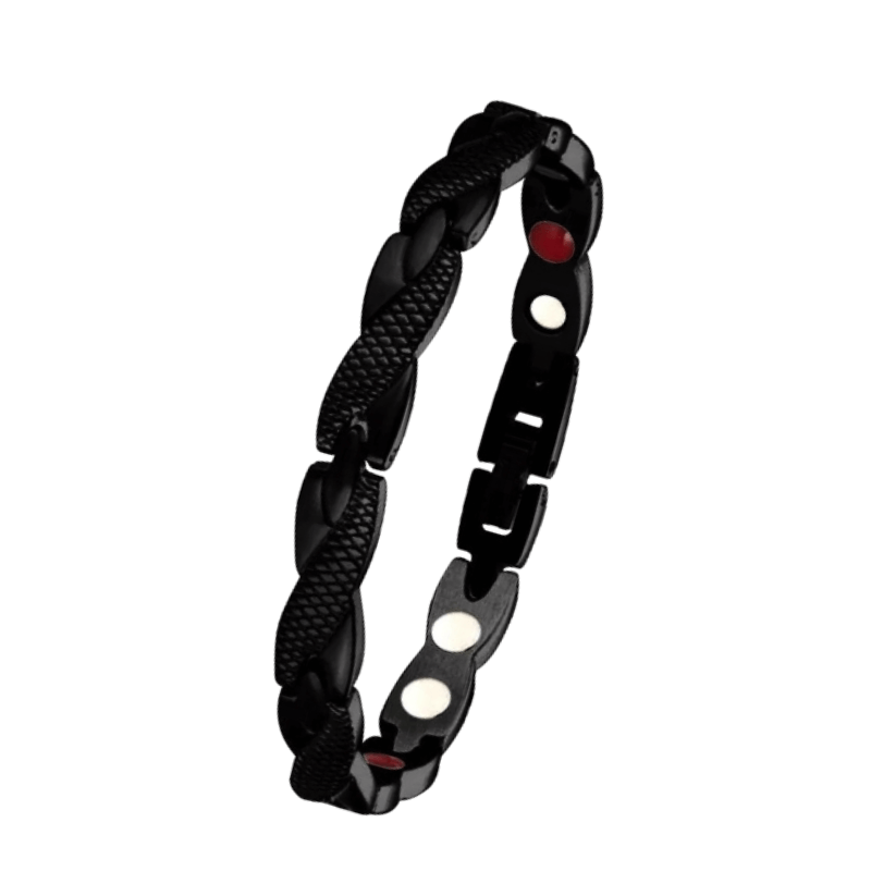 Titanium 4-in-1 Magnetic Element Bracelet