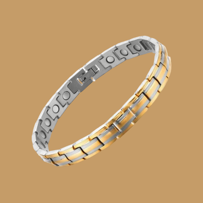 Titanium Balance Magnetic Therapy Bracelet
