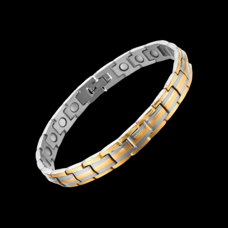 Titanium Balance Magnetic Therapy Bracelet